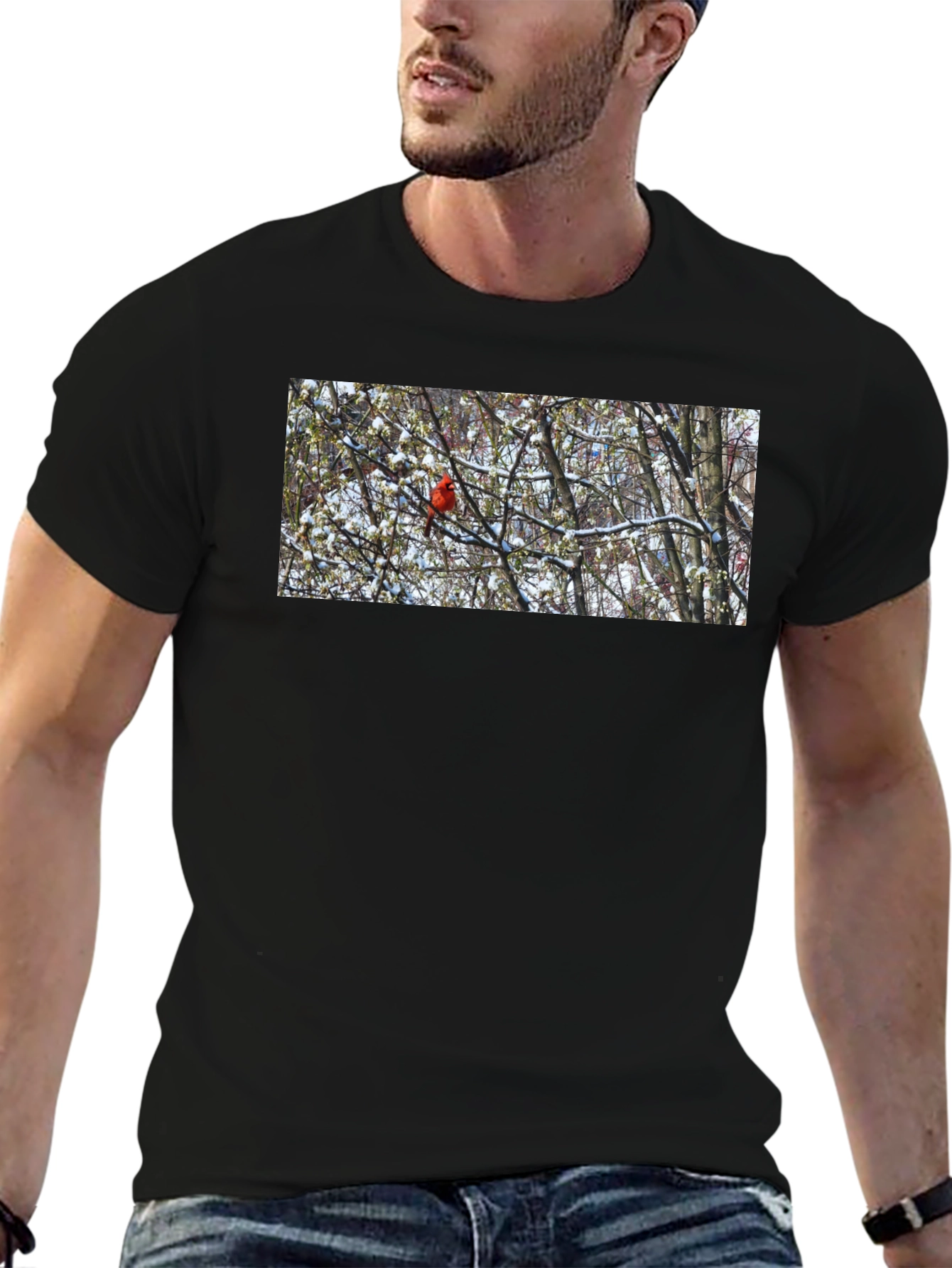 Cardinal Bird in Winter T-Shirt