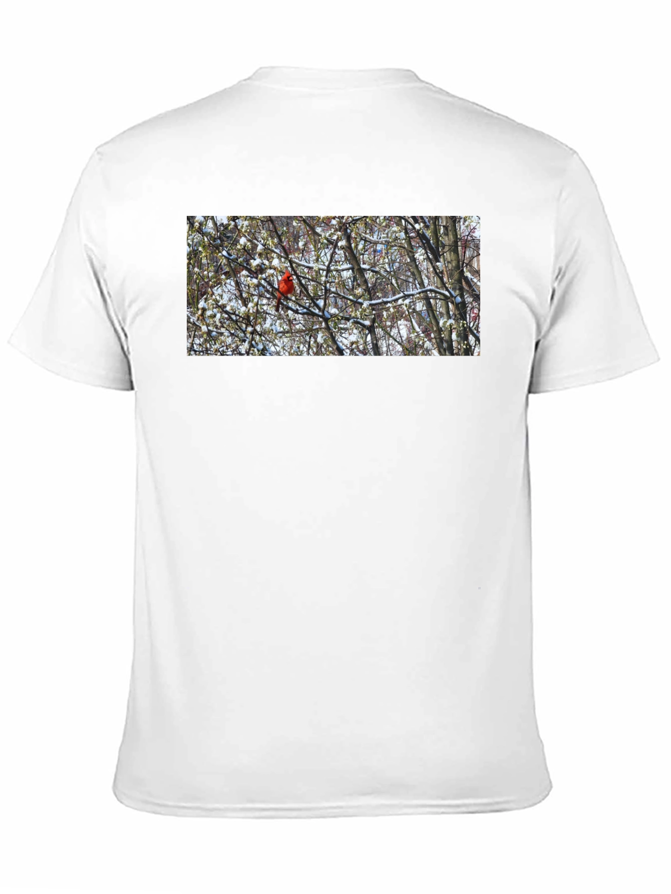 Cardinal Bird in Winter T-Shirt