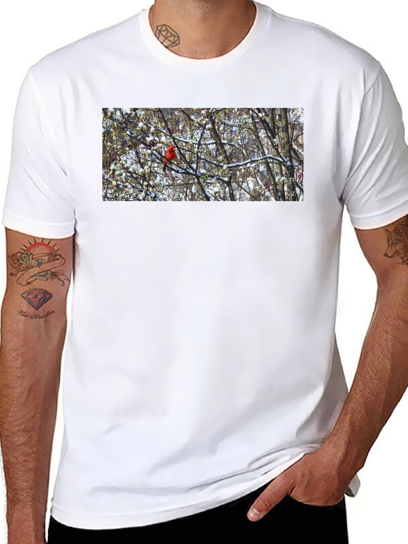 Cardinal Bird in Winter T-Shirt