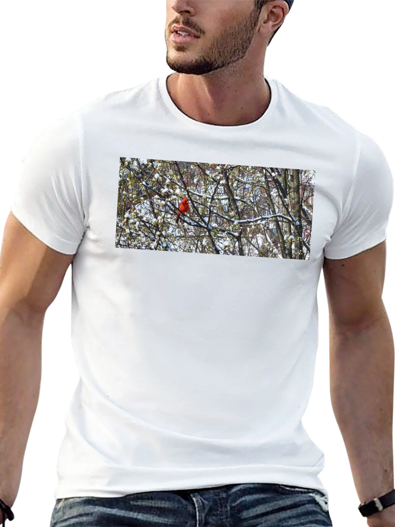 Cardinal Bird in Winter T-Shirt