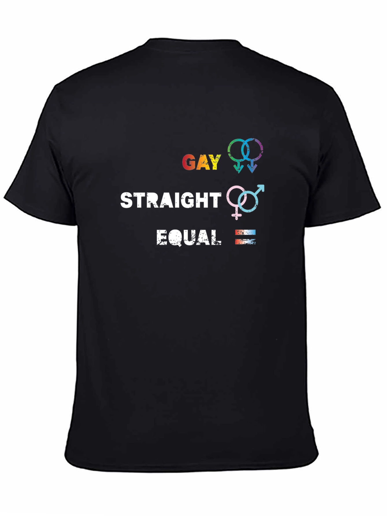 Gay Straight Equal Graphic Tee - Pride Equality T-Shirt