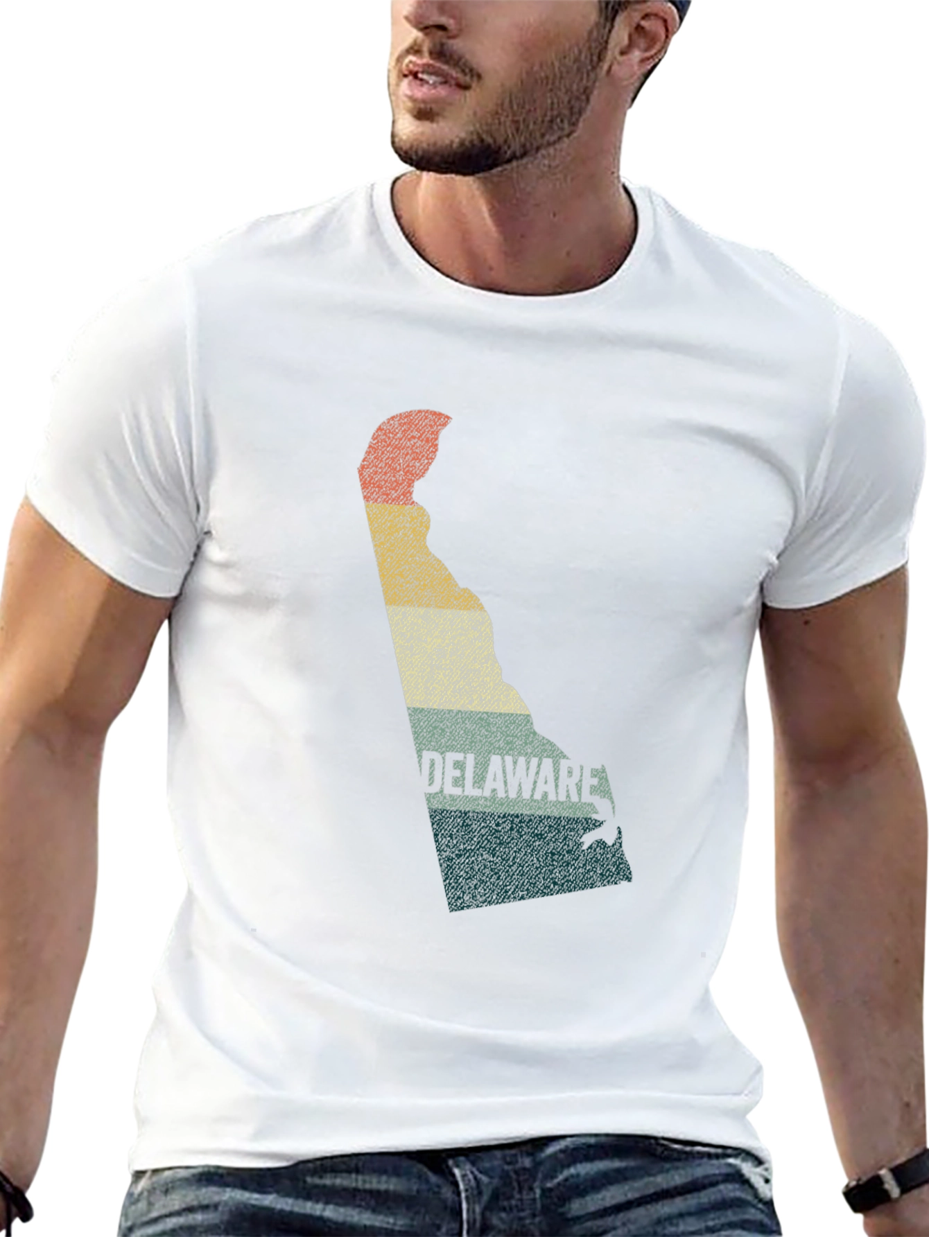 Delaware State Retro Graphic T-Shirt