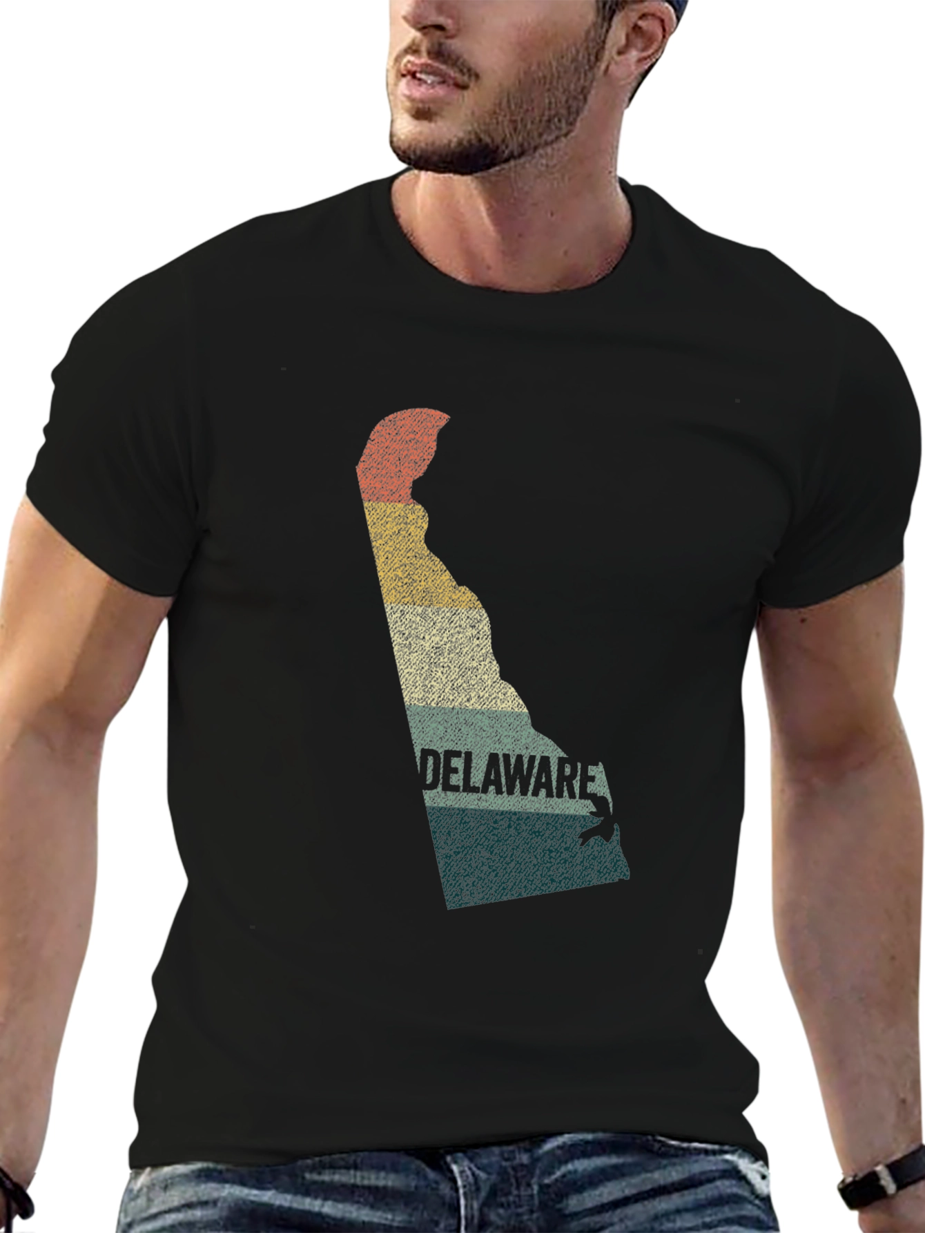 Delaware State Retro Graphic T-Shirt