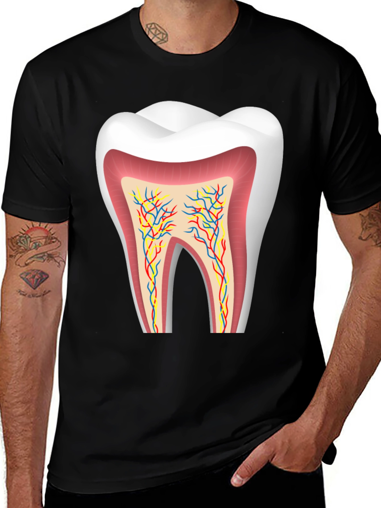 Anatomical Tooth Graphic Tee - Dentist Apparel