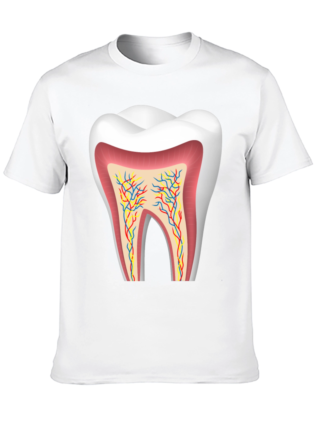 Anatomical Tooth Graphic Tee - Dentist Apparel