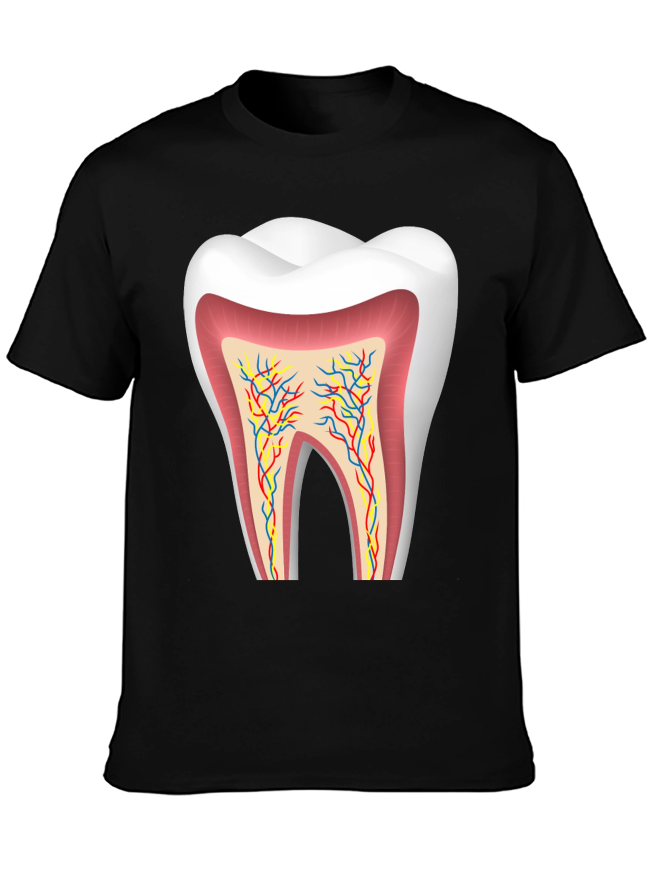 Anatomical Tooth Graphic Tee - Dentist Apparel