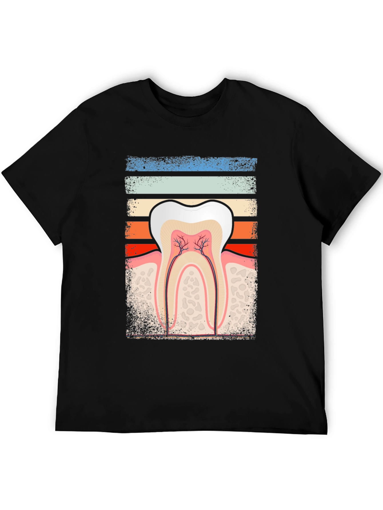 Dental Anatomy Graphic Tee - Dentist Gift