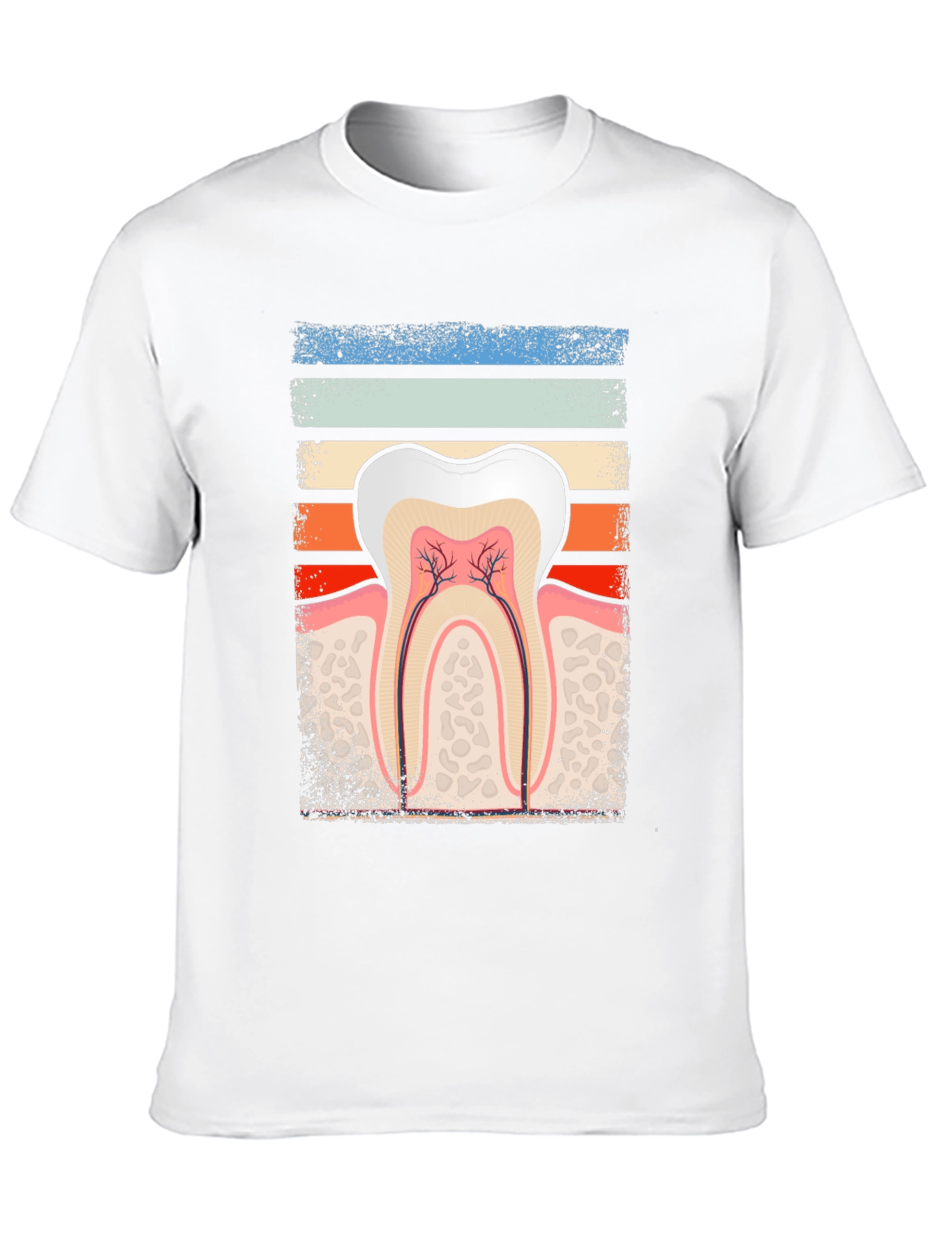 Dental Anatomy Graphic Tee - Dentist Gift