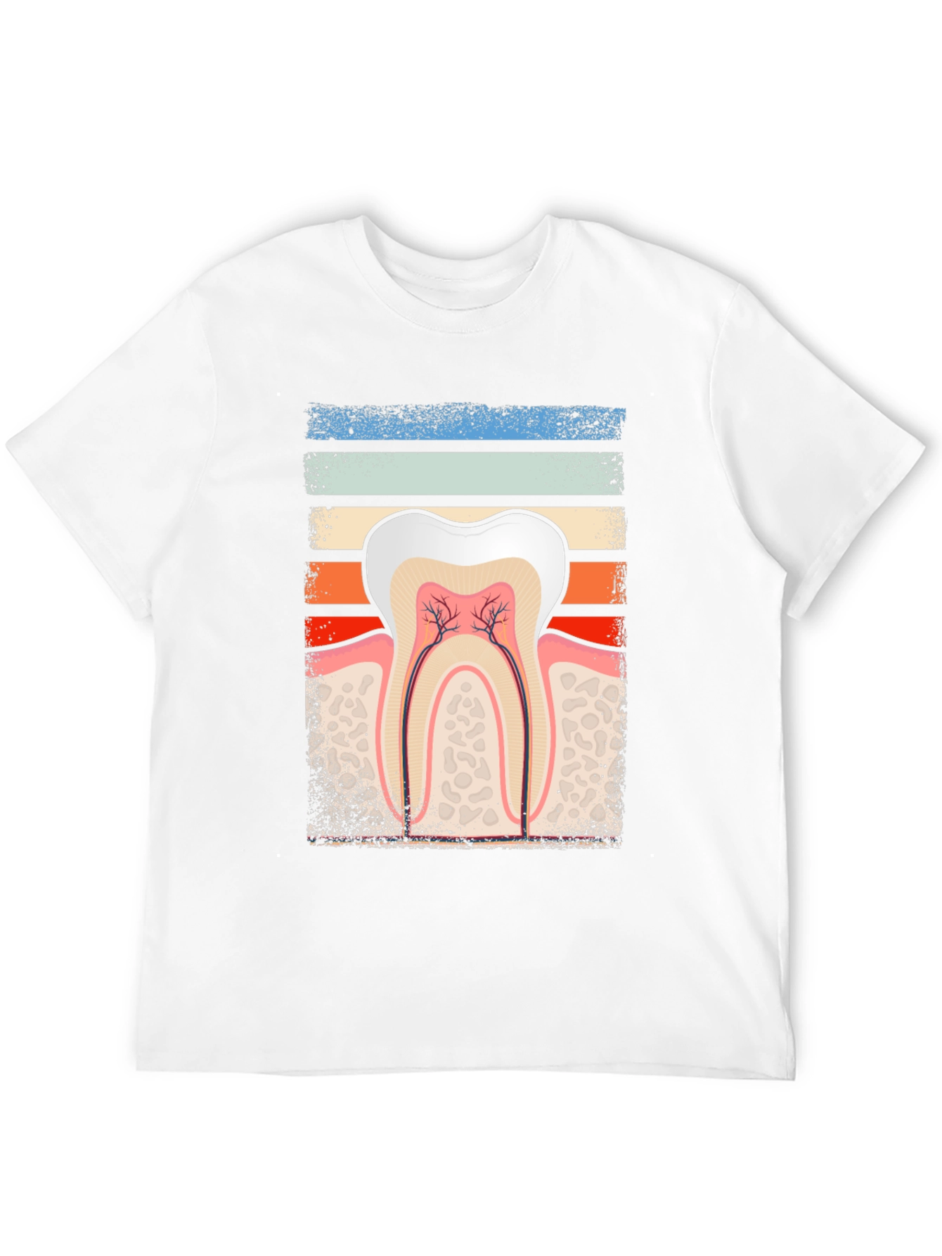 Dental Anatomy Graphic Tee - Dentist Gift
