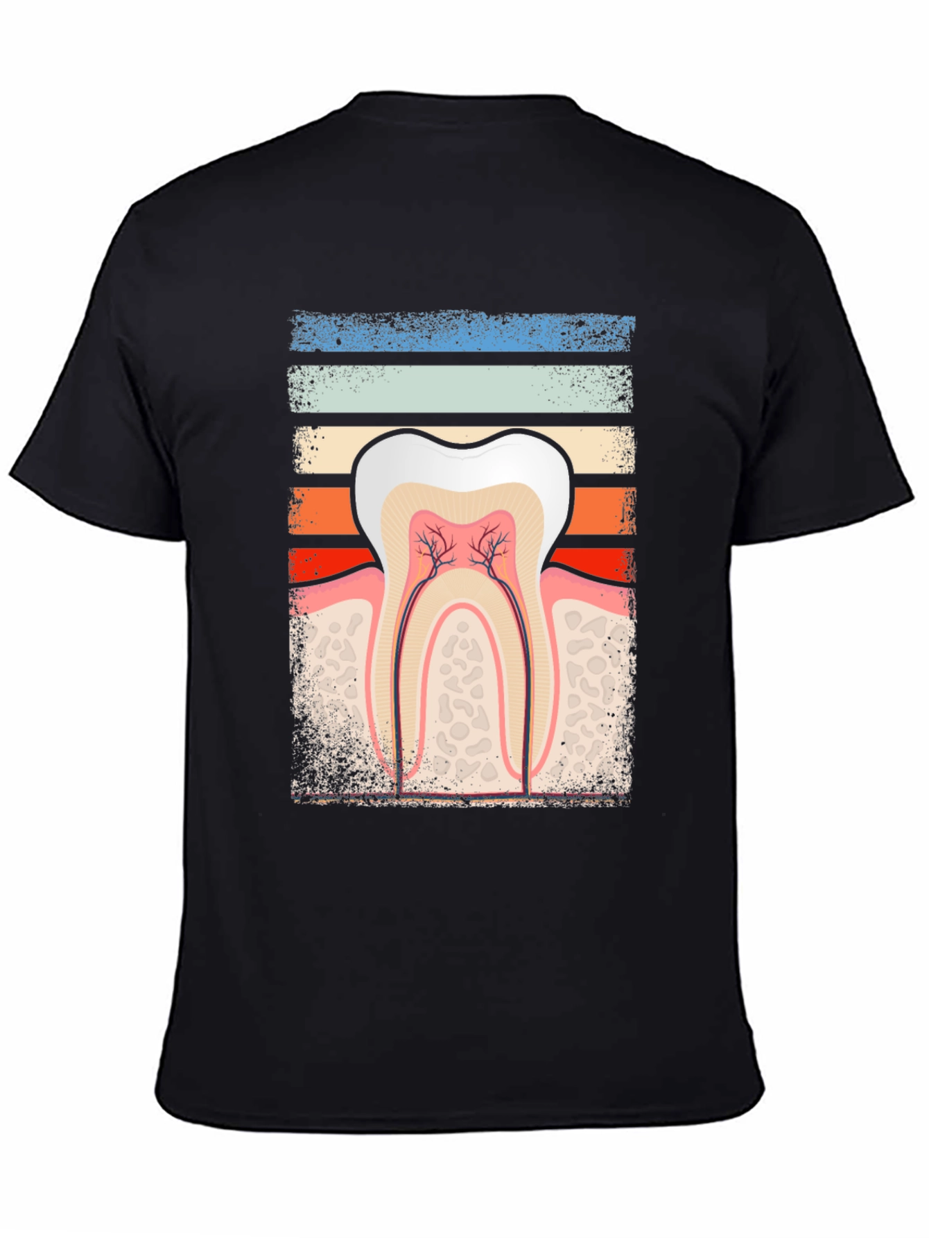 Dental Anatomy Graphic Tee - Dentist Gift