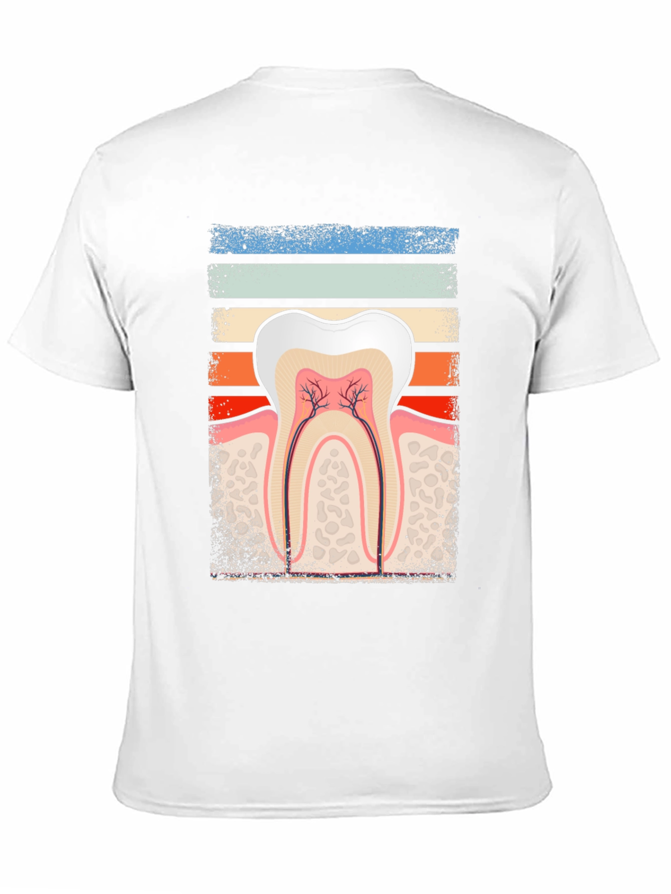 Dental Anatomy Graphic Tee - Dentist Gift