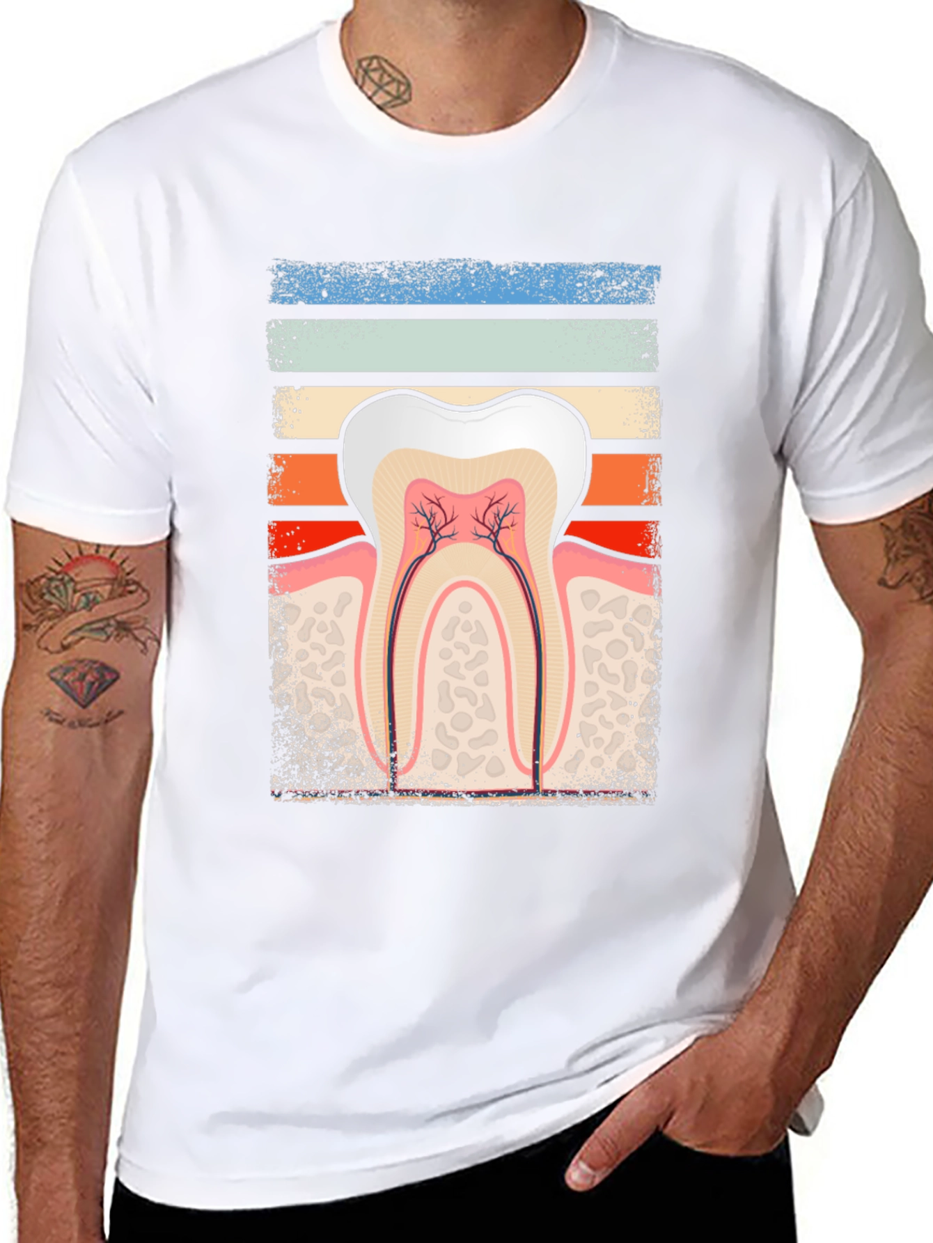 Dental Anatomy Graphic Tee - Dentist Gift
